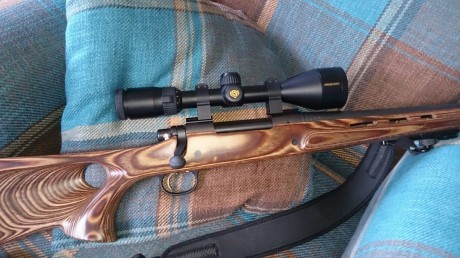 Rifle Remington 700 ADL, calibre .270, con monturas, anillas, visor Nikon Prostaff 3-9x50, 2 culatas (sintetica 00