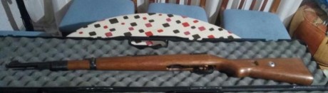 Un amigo vende estas dos armas pide 500€ por las dos estan nuevas no se han utilizado es solo coleccionista 02