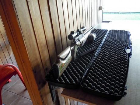Hola, esto es una pequeña toma de contacto con dos modelos de carabinas BM Gun, muy breve, pues hoy por 11