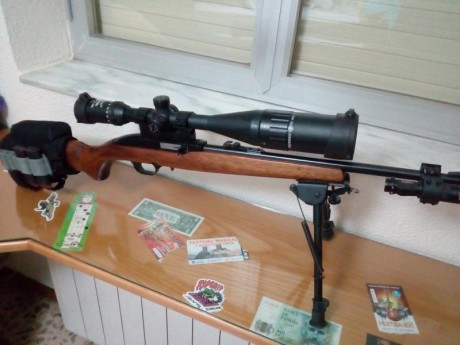 buenos días, 
Pongo a la venta mi carabina del calibre 22lr , la carabina se encuentra en perfecto estado, 02