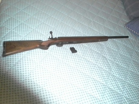 Al tema un amigo del club vende una cz 452 zkm del 22 esta en perfecto estado y muy bien cuidada hace 01