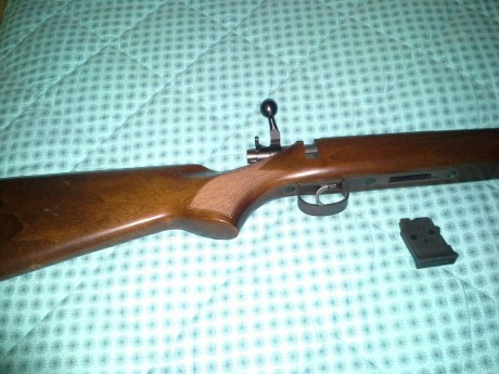 Al tema un amigo del club vende una cz 452 zkm del 22 esta en perfecto estado y muy bien cuidada hace 12