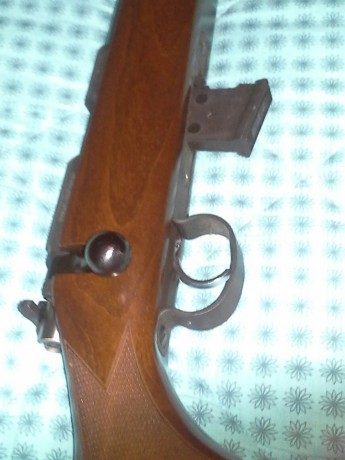 Al tema un amigo del club vende una cz 452 zkm del 22 esta en perfecto estado y muy bien cuidada hace 11