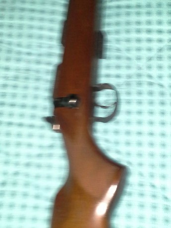 Al tema un amigo del club vende una cz 452 zkm del 22 esta en perfecto estado y muy bien cuidada hace 10