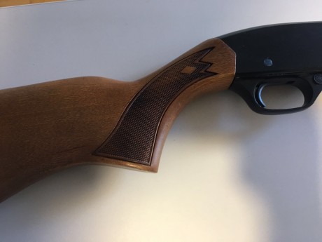 Winchester del 22LR modelo 190, 15 cartuchos + 1, en perfecto estado de conservación, con rosca, la vendo 00