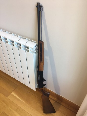 Winchester del 22LR modelo 190, 15 cartuchos + 1, en perfecto estado de conservación, con rosca, la vendo 11