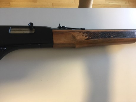 Winchester del 22LR modelo 190, 15 cartuchos + 1, en perfecto estado de conservación, con rosca, la vendo 10