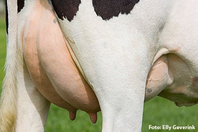 ¿Sabes que la leche en cartón que no se vende dentro del plazo de caducidad regresa a la fábrica para 100