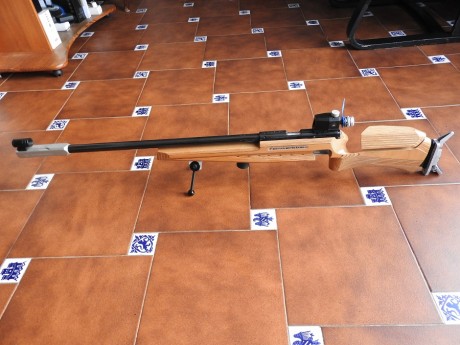 .... vendo esta carabina; esta como nueva, garantizado. Solo ha tenido algunas tiradas. 
Diopter (iris) 22