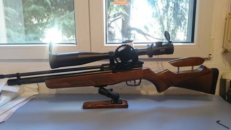 Vendo mi carabiina Gamo Coyote pcp por cambiarme a un equipo superior ,la carabina esta impecable ,comprada 02