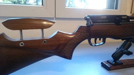 Vendo mi carabiina Gamo Coyote pcp por cambiarme a un equipo superior ,la carabina esta impecable ,comprada 00