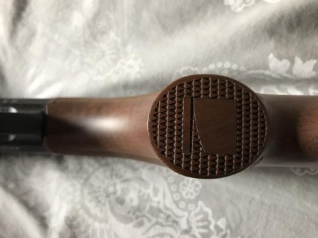 Vendo Benelli Argo con muy poco uso, está nuevo.

El rifle está como nuevo, puedo enviar fotos a quien 40