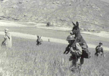 ¡Muy buenas a todos!

Estaba dando un paseo por el foro, cuando me he dado cuenta de que no había un hilo 170