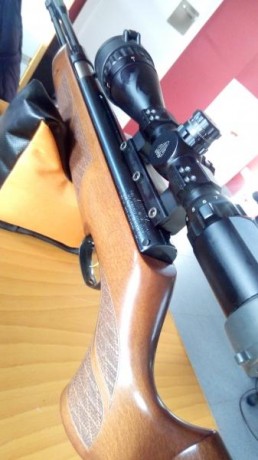 Vendo ejemplar absolutamente nuevo del todo, madera y pavonado perfectos.
 Cal .177 se encuentra en Pontevedra 01