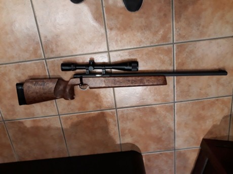 Buenas a todos

Un buen amigo vende una gran ocasión

Carabina Anschutz
Mach 54 Customizada muy bonita 02