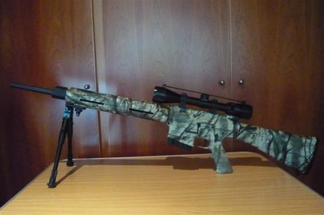 Saludos, estoy entusiasmado con este rifle semiautomatico, tiene la plataforma del mitico M-16 y color 160