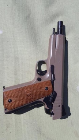 Hola,vendo sig sauer 1911-22 comprará recientemente a otro compañero de este foro,la vendo por que no 00