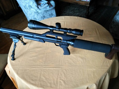 Vendo Airforce  Talón 5.5 con poco uso. Habrá tirado tres cajas de balines.
Visor Airforce 4-16x50.
Tri 41
