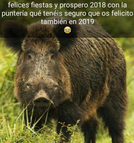 ¡Muy buenas a todos!

Estaba dando un paseo por el foro, cuando me he dado cuenta de que no había un hilo 80