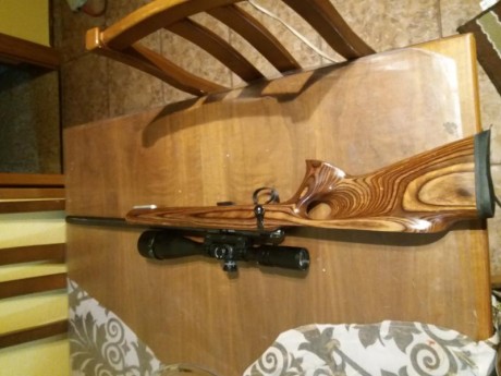  se-vende-cz-con-un-cargador-el-visor-no-esta-incluido-ni-la-montura-503034.jpg se vende cz  con un cargador 00