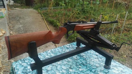 compro monotiro thompson 222 me da igual que aparte lleve mas cañones. 60