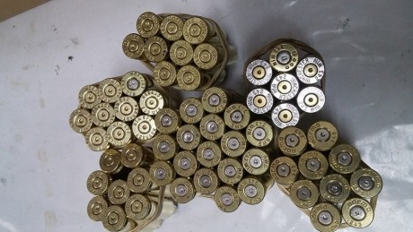 Vendo vainas de un solo disparo y pasadas por la tumbler.  de 9 m.
 cal. 300 Win 01