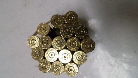 Vendo vainas de un solo disparo y pasadas por la tumbler.  de 9 m.
 cal. 300 Win 11