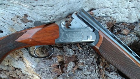 Batista Rizzini mod.Aurum calibre 20/76 .
Bascula de acero. Expulsora. 
Peso 2,800kgr
Un gatillo y selector. 01