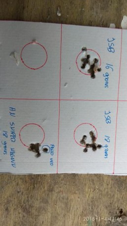 Hola a todos les cuento la duda que tengo . 
Actualmente suelo tirar con balines JSB de 16 y 18 grains 00