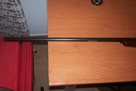 vendo escopeta monotiro lig calibre 14mm,desmontable (no plegable) en buen estado,no tiene oxidos,con 01