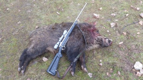 Como parece que algunos tienen un sentido del humor que yo no entiendo mejor cerrar. 160