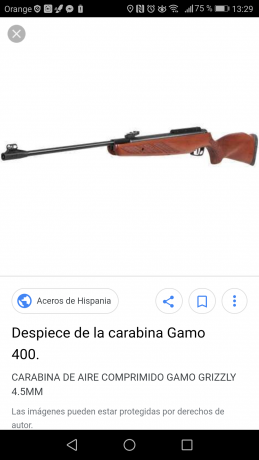 Compro pistola tipo duelo para iniciarme o rifle de avancarga, economico, preferentemente en zaragoza.

Tengo 01