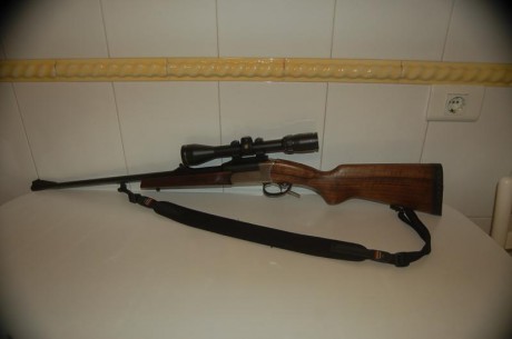 Con visor Bushnell ELITE 3200 3-9x40, carril y monturas Warne y correa Niggeloh. Importe 300.-€. Portes 01