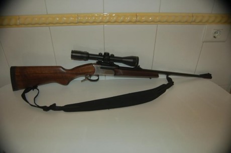 Con visor Bushnell ELITE 3200 3-9x40, carril y monturas Warne y correa Niggeloh. Importe 300.-€. Portes 00