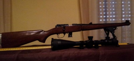 LUGER carabina del 22 lr o WINCHESTER 30X30 cambiaria por pistola FIOCCHI 32 Las armas se encuentran en 01