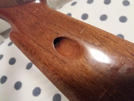 Vendo carabina browning SA 22lr.... 
es desmontable con un click y medio giro.....
se carga por el lateral 00