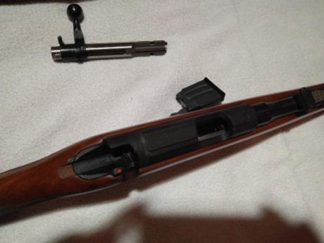 Vendo Carabina BRNO calibre 22, con dos cargadores y funda  de transporte, está en perfectas condiciones 02