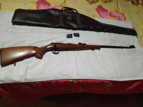 Vendo Carabina BRNO calibre 22, con dos cargadores y funda  de transporte, está en perfectas condiciones 01
