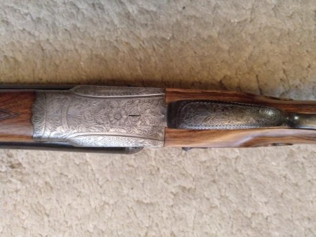 Hola

Por tener demasiadas escopetas pongo en venta esta paralela fina

Martin Ugarteburu modelo 115
Expulsora, 00