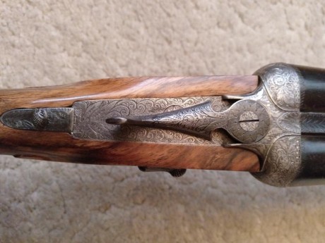 Hola

Por tener demasiadas escopetas pongo en venta esta paralela fina

Martin Ugarteburu modelo 115
Expulsora, 11