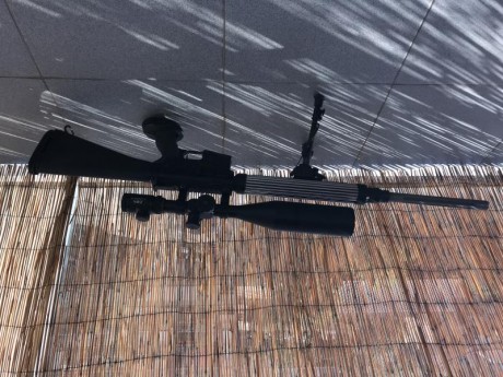 Hola
Vendo mi rifle de precisión DPMS model A-15 de calibre 222 junto con bipod y mira telescópica ZOS 20
