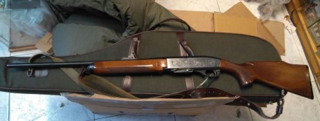 Vendo Rifle Remington modelo 7400 calibre 30.06 con dos cargadores uno de 2 y otro de 4 balas. Caja grabada 02