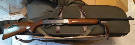 Vendo Rifle Remington modelo 7400 calibre 30.06 con dos cargadores uno de 2 y otro de 4 balas. Caja grabada 01