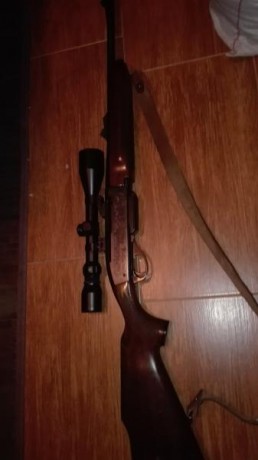 Pues eso, vendo rifle remington 7400 carabine, calibre 30-06, en buen estado. Incluyo bases apel. Tlf 02