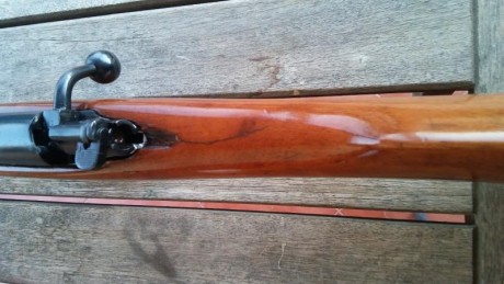 Hola, se vende Destroyer 9mmL.

El arma esta en perfecto uso.
Alimenta, dispara y expulsa indistintamente 11