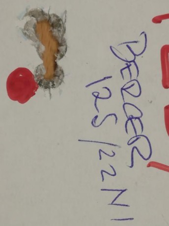 Sako TRG .308 muy buen estado con su maleta , sin visor y sin bipodes , se puede probar y ver en Cantabria 11