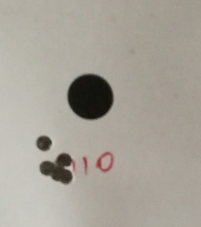 Sako TRG .308 muy buen estado con su maleta , sin visor y sin bipodes , se puede probar y ver en Cantabria 10