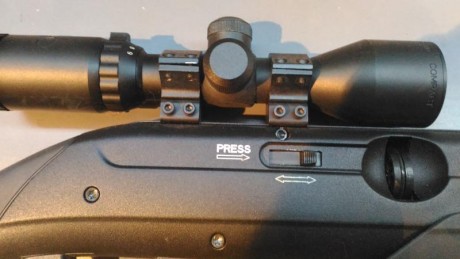 Vendo esta Gamo Extreme más visor Gamo Compact 3-9x40, en estado impecable. Regalo 4 cargadores y una 00