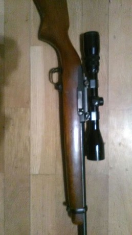 Como bien dice el titulo estoy buscando una carabina ruger 10/22 en buen estado,preferiblemente modelo 31