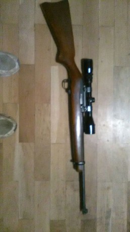 Un compañero de Pamplona vende esta Ruger 10/22. Pide, con el visor, 300€ portes aparte. Poco uso. Su 00